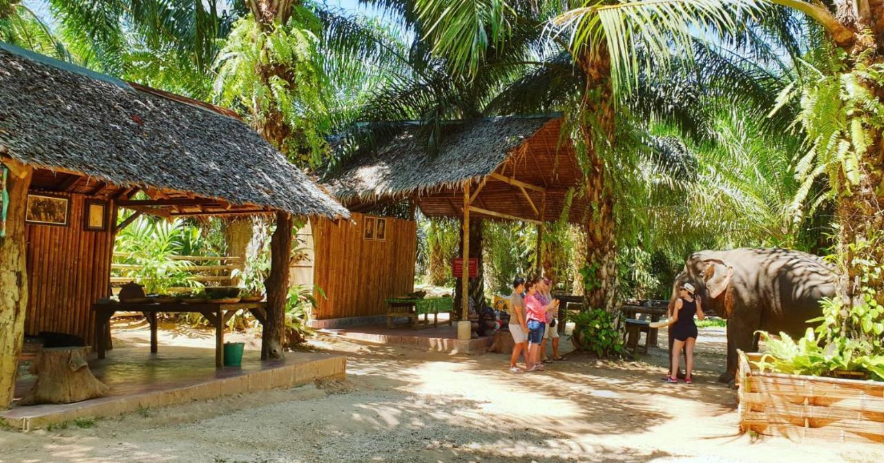 Khao Sok River Home Resort Khao Sok National Park Esterno foto
