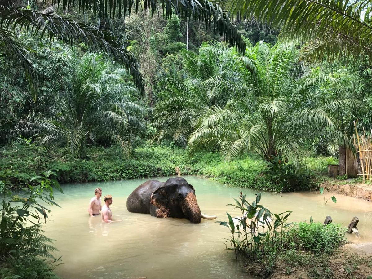 Khao Sok River Home Resort Khao Sok National Park Esterno foto