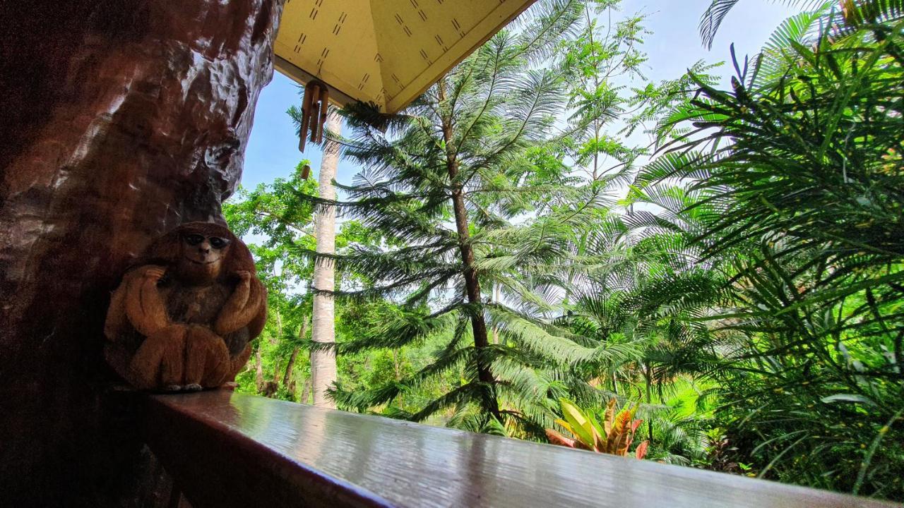 Khao Sok River Home Resort Khao Sok National Park Esterno foto