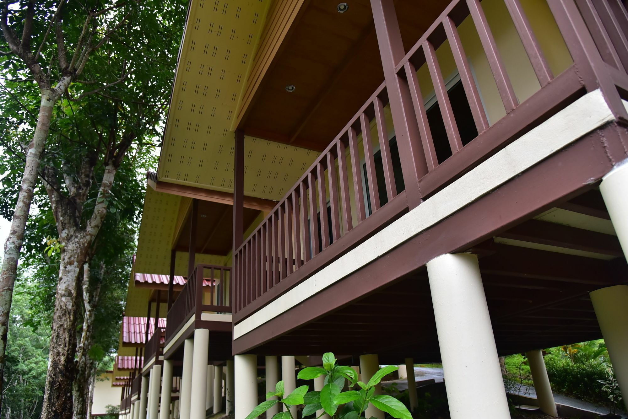 Khao Sok River Home Resort Khao Sok National Park Esterno foto