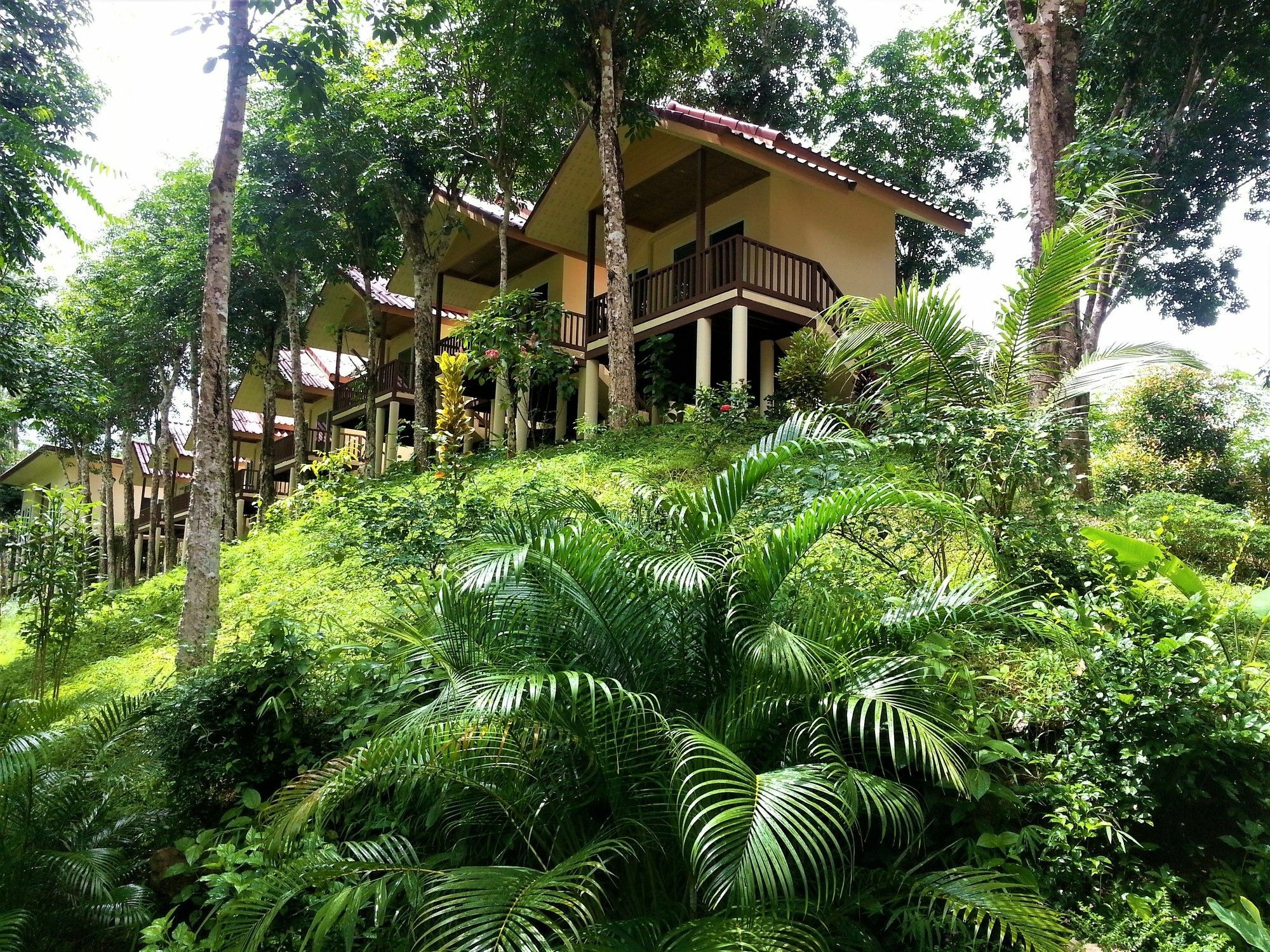 Khao Sok River Home Resort Khao Sok National Park Esterno foto